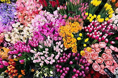 宫崎英高希望看到《血源》PC版 但这取决于索尼